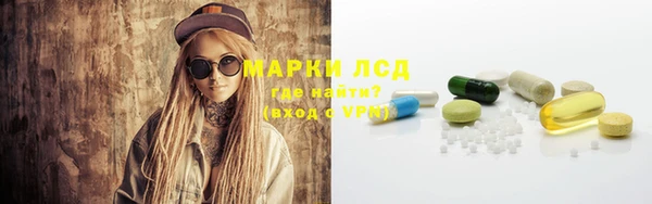 спайс Алзамай