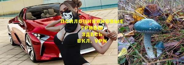 прущий лед Алексеевка