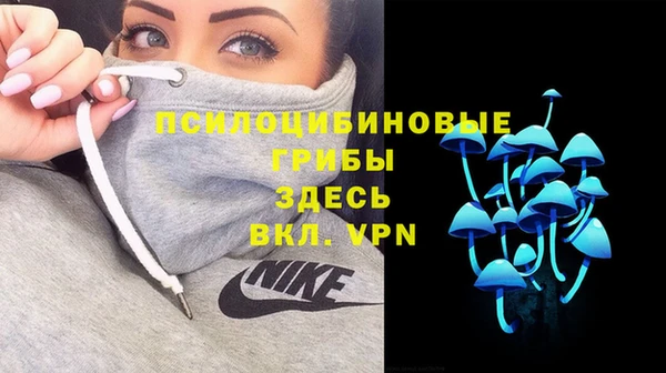 спайс Алзамай