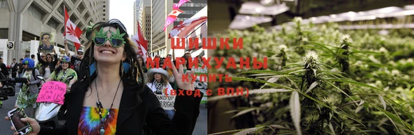ГАЛЛЮЦИНОГЕННЫЕ ГРИБЫ Алексин