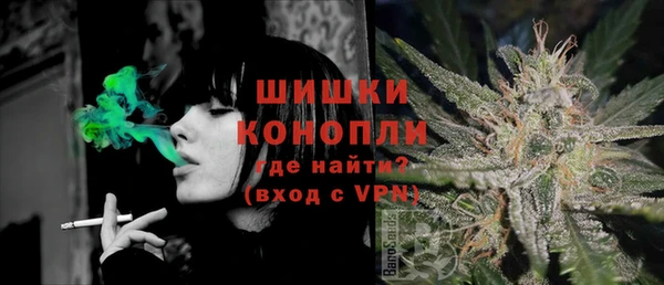 спайс Алзамай